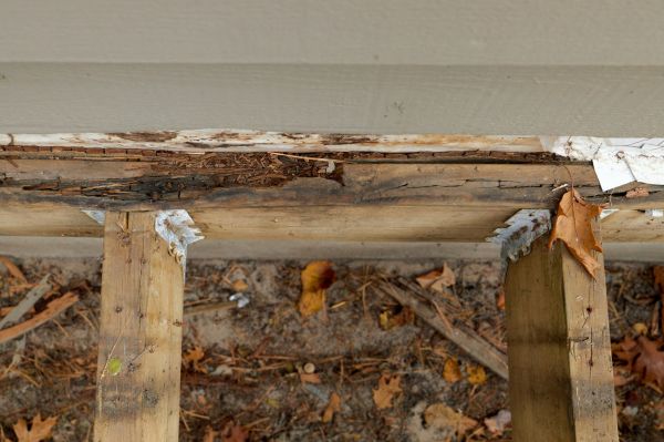 Charlottesville Wood Rot Repair
