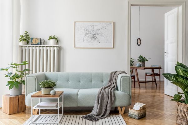 Charlottesville Staging Service