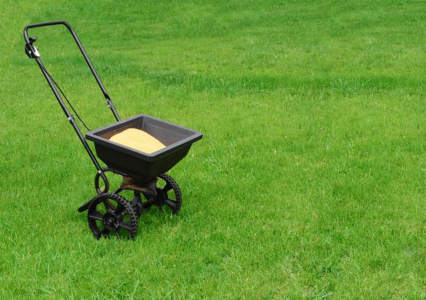 Charlottesville Lawn Treatment